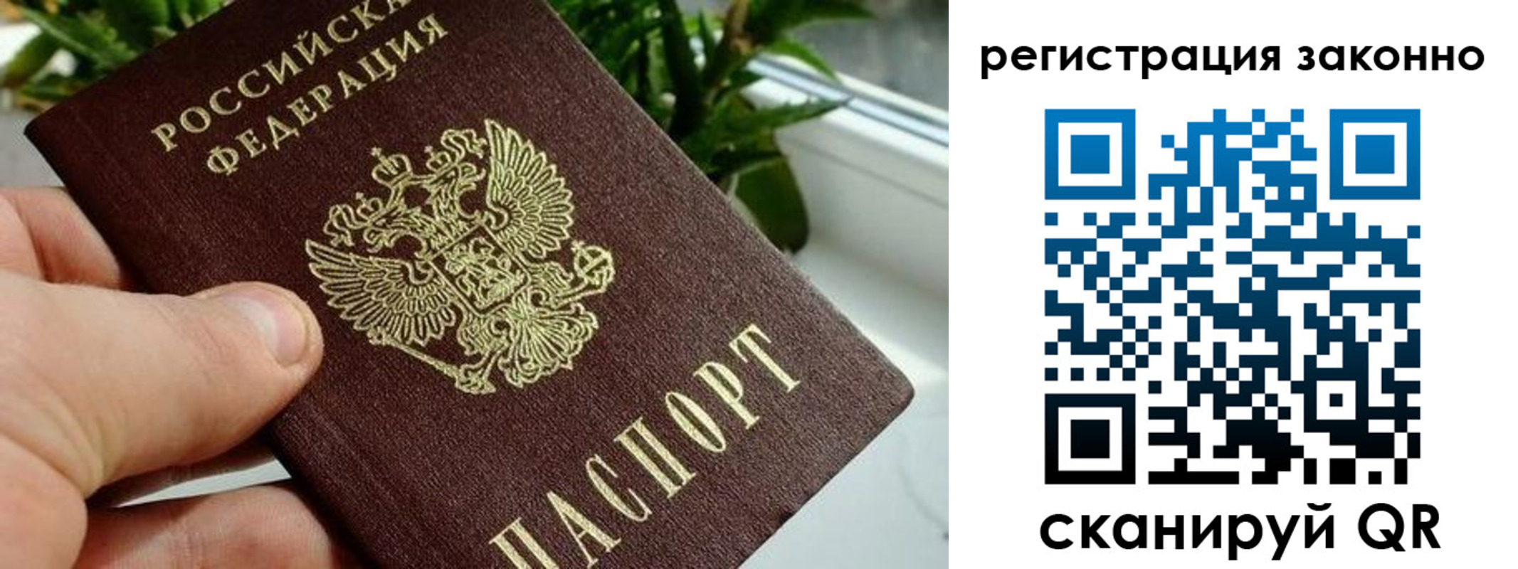 прописка гарантия в Всеволожске